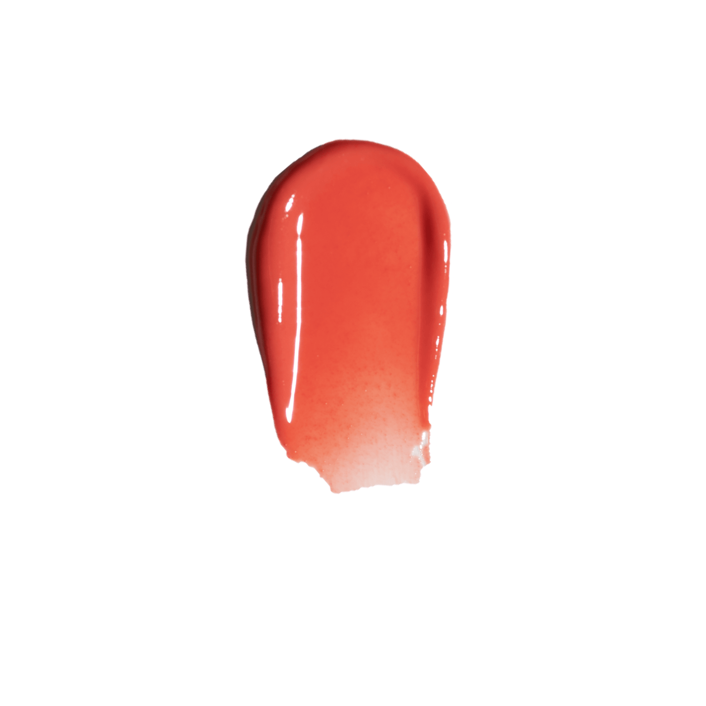 Coral Shine | coral1