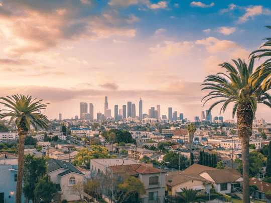 Palm trees and city skyline