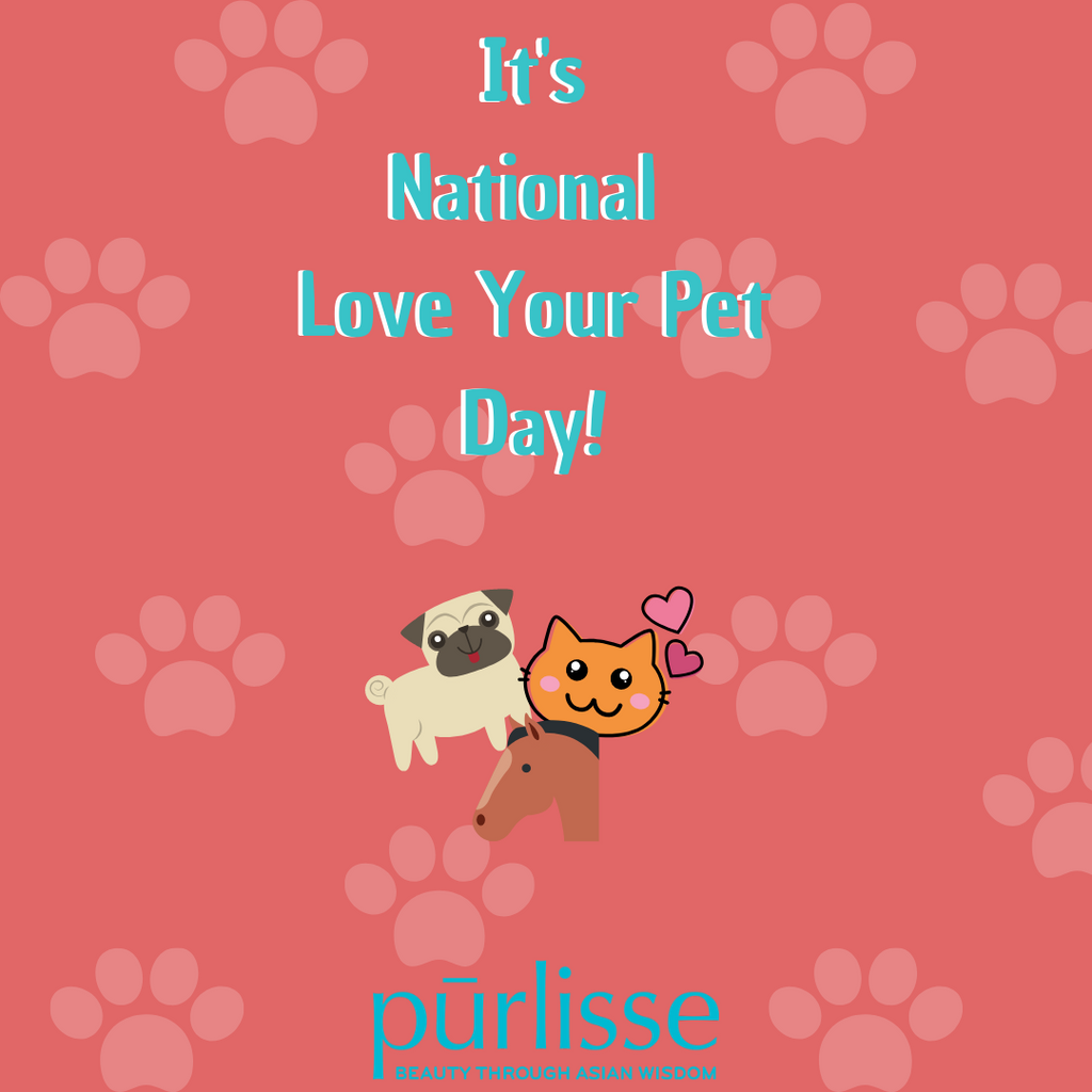 National Love Your Pet Day!