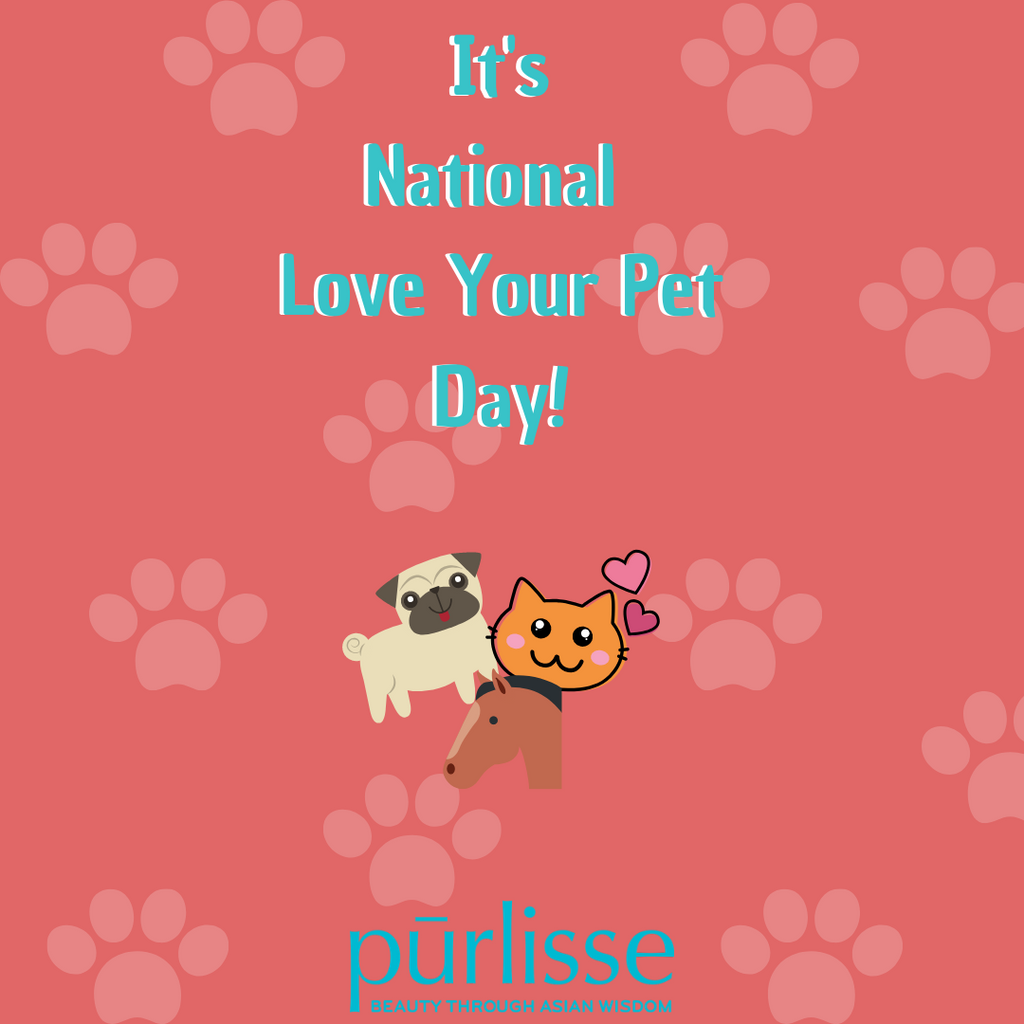 Today is national love your 2024 pet day