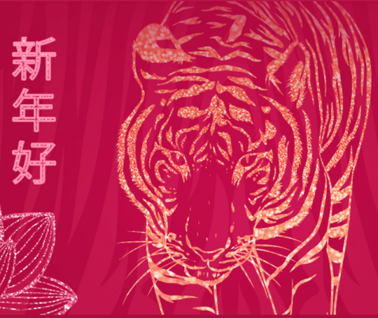 What Is Lunar New Year?
